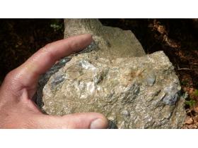 photo coins arrondis