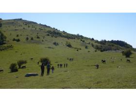 photo coins arrondis