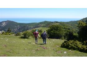 photo coins arrondis