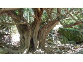 photo coins arrondis