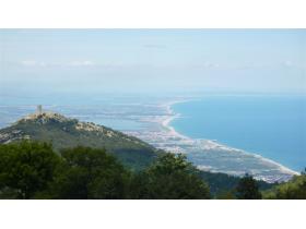 photo coins arrondis