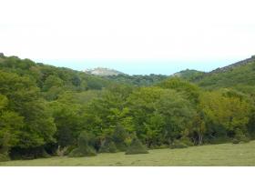 photo coins arrondis