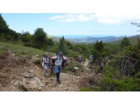 photo coins arrondis