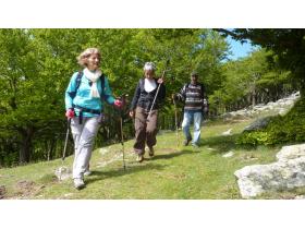 photo coins arrondis