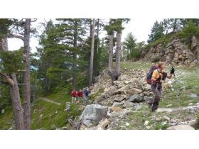 photo coins arrondis