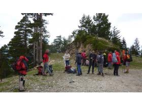 photo coins arrondis