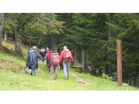 photo coins arrondis