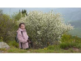 photo coins arrondis