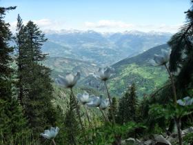 photo coins arrondis