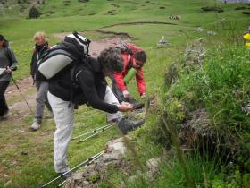 photo coins arrondis