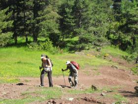 photo coins arrondis