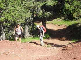 photo coins arrondis