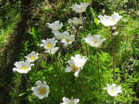 photo coins arrondis