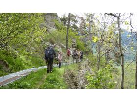 photo coins arrondis