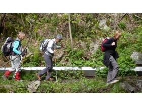 photo coins arrondis