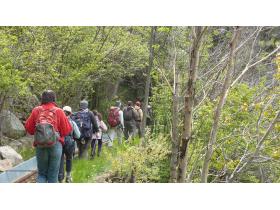 photo coins arrondis