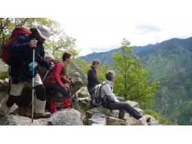 photo coins arrondis