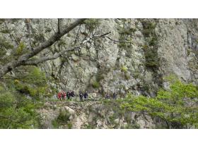 photo coins arrondis