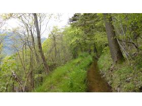 photo coins arrondis