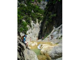 photo coins arrondis