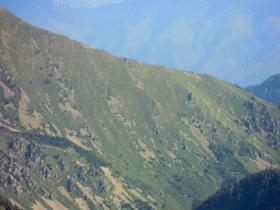 photo coins arrondis