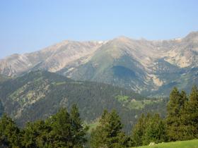 photo coins arrondis