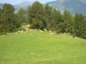 photo coins arrondis