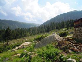 photo coins arrondis