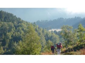 photo coins arrondis