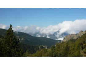 photo coins arrondis