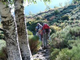 photo coins arrondis