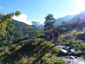 photo coins arrondis