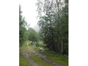 photo coins arrondis