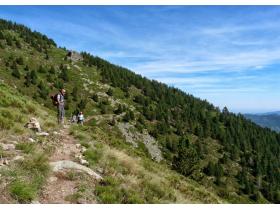 photo coins arrondis