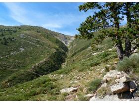 photo coins arrondis