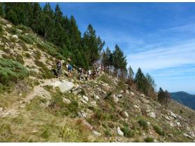 photo coins arrondis