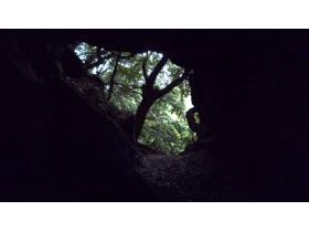 photo coins arrondis