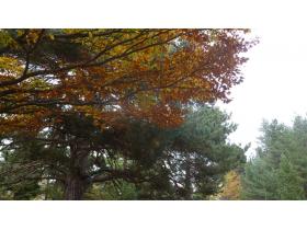 photo coins arrondis