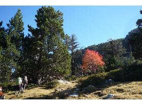 photo coins arrondis