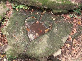 photo coins arrondis