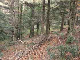 photo coins arrondis