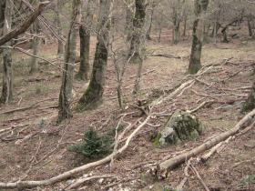 photo coins arrondis