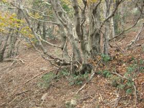 photo coins arrondis