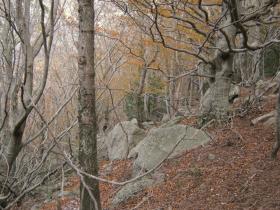 photo coins arrondis