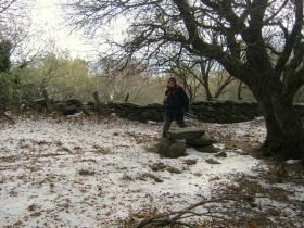 photo coins arrondis