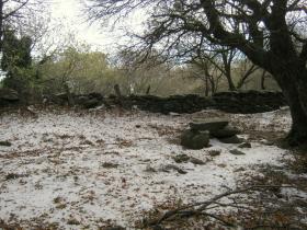 photo coins arrondis