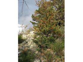 photo coins arrondis