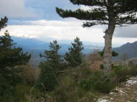 photo coins arrondis