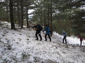 photo coins arrondis