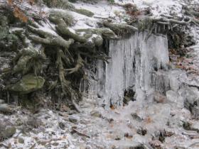 photo coins arrondis